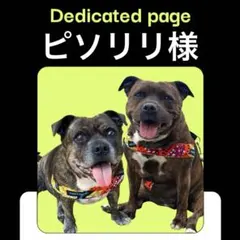 ピソリリ様専用