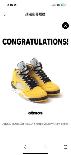 Nike Air Jordan 5 Retro 