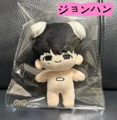 SEVENTEEN　ジョンハン セブチ　マスター　ぬいぐるみ 2025年最新】seventeen ぬいぐるみ ジョンハン マスターの人気アイテム