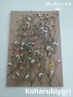 Item thumbnail for item e9d6cdb4-cb74-4b2d-bb86-e65f6a07ecb5