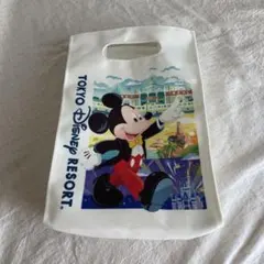 東京ディズニーリゾート バッグ