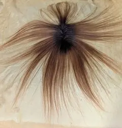 Item thumbnail for item 52b7667c-cced-4eec-8ce7-895d78f30796