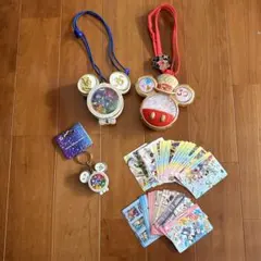 ち*む様 ディズニー 35周年・30周年 ミッキーバッジセット