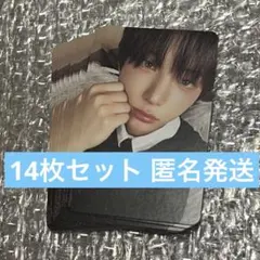 &TEAM Back to Life トレカ HARUA ハルア 14枚セット