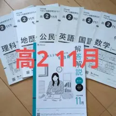 【2024年度11月 高2】ベネッセ総合学力テスト 解答解説付き 進研模試のサムネイル