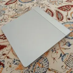 Item thumbnail for item 5762d736-2832-4b71-9f10-deb67d6891a0