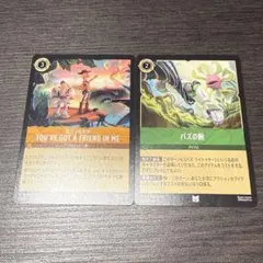 ロルカナ スクルージ マクダック 2枚foil - メルカリ