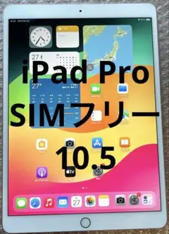 iPad Pro 10.5 SIMフリー 64GB (30)
