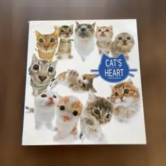 CAT'S HEART 米田裕雄著 猫写真集
