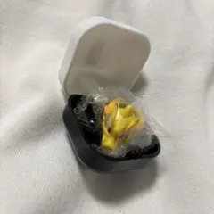 シーホース三河 バスケットボール