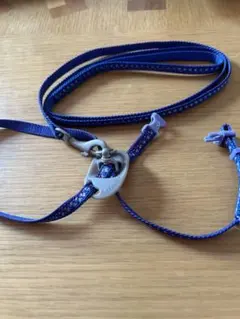 Item thumbnail for item a63939de-2488-41ba-8ceb-4e5838fceea9