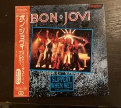【レーザーディスク】ボン·ジョヴィ ワイルド·イン·ザ·ストリーツ・ザ・ビデオ