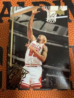 【NBAトレカ】 デニスロッドマン