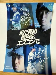 中島卓也 応援グッズ