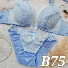 №1359【B75】キューティフルーレットフリルブラジャー&フルバックショーツ