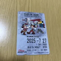 リゾートライン フリー切符 使用済み　レディフォーテイクオフ