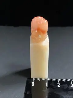 【ワニ】 鰐　美品　高級印材　篆刻　印石　ラオス印石　水凍 ワニ】 鰐 美品 高級印材 篆刻 印石 ラオス印石 水凍 - メルカリ