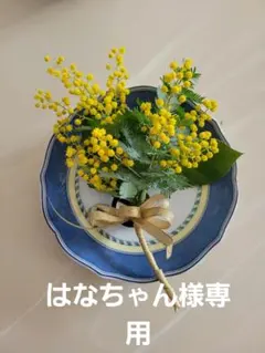 はなちゃん様専用 特別な日のために フレッシュミモザコサージュ