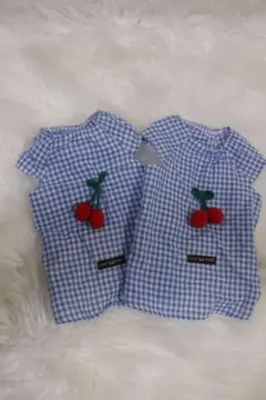手工製狗服兩件套 藍白格紋
