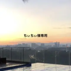 専用