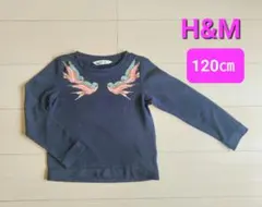 120cm　H&M 長袖カットソー　 鳥　ネイビー