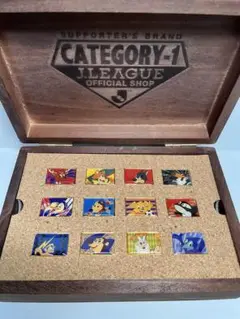 【美品】Jリーグ ピンバッジ 12個セット 木製ボックス付き
