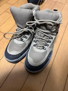 Item thumbnail for item 1563d901-bc9a-448e-99f5-fa2972ae71b5