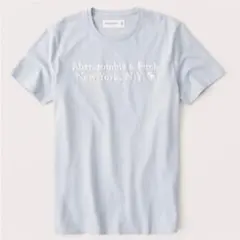 Abercrombie&Fitch オンライン限定グラフィックTシャツ