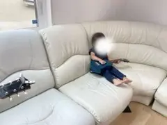 白のソファ　引き取り希望