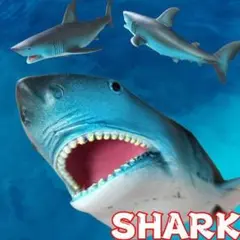 サメ フィギュアPVC 希少【タイヤ付きサメ／シャーク】前進後進OK手動式☆新品