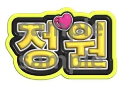 ジョンウォン　ENHYPEN ネームボード　ファンサ　文字