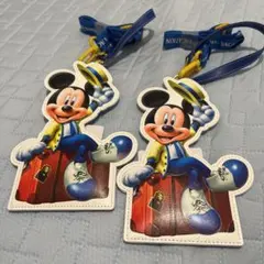 ディズニー　チケットホルダー２個セット　非売品