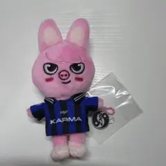 Stray Kids karma skzoo チャンビン トゥエッキ