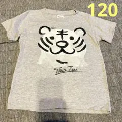 ホワイトタイガー 半袖Tシャツ 120のサムネイル