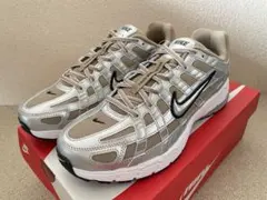 nike p-6000 27
