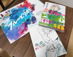 ブルーピリオド 11巻(特装版) ＆ 実写版パンフ