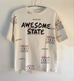 【お値下げ！】ZARA★AWESOME STATE ★Tシャツ M