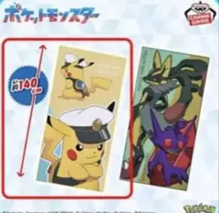 2025年最新】ポケットモンスター マイクロファイバータオルの