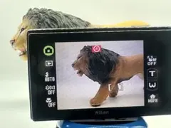 Item thumbnail for item c5956601-28af-449c-a90e-18bac8a04ad1