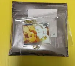 鬼滅の刃 隊士百景 竈門炭治郎 絆アクリルチャーム