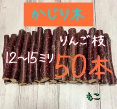 Item thumbnail for item cb3dcf58-c0b6-46f6-88f2-9621cde3daf1