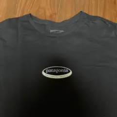 patagonia Long Way Round Organic T-Shirt