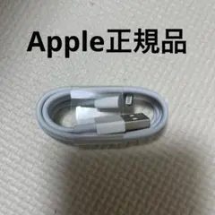 iPhone純正イヤホン付属品　ライトニングケーブル1m 3