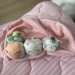 専用です☆お名前テープ付き ☆ ミニティッシュケース ☆3セット