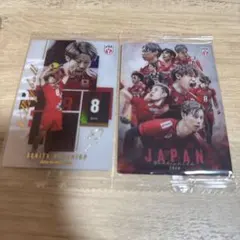 男子バレーボール日本代表 ウエハース カード 2026 集合　関田