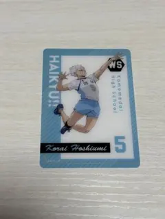 2025年最新】ハイキュー星海光来カードの人気アイテム - メルカリ