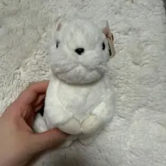 ty おこじょ　オコジョ　ぬいぐるみ