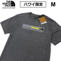 ノースフェイス 半袖 m