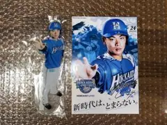 北海道日本ハムファイターズ 24 野村佑希 2021 オンラインくじ アクスタ