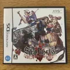 【ヒデ様専用】DS スティールプリンセス -盗賊皇女-